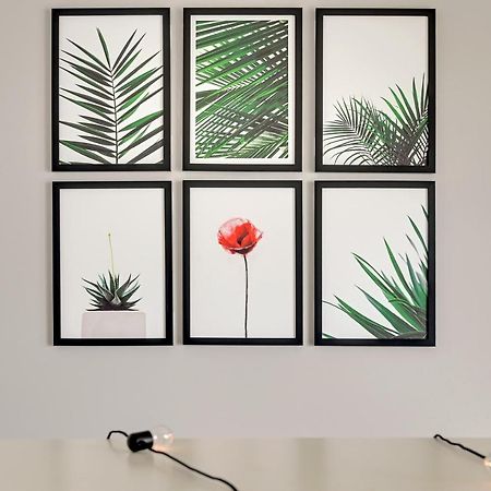 Studio Baltica Brzezno Γκντανσκ Εξωτερικό φωτογραφία